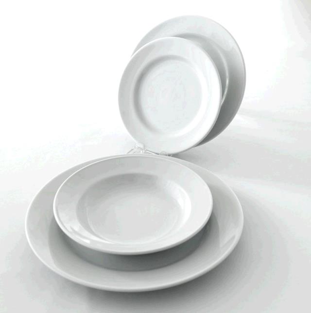 Bistro dinner plate rentals Surrey BC Where to rent bistro dinner