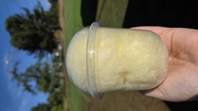 Rental store for Cotton Candy Cups - Pina Colada in Surrey BC