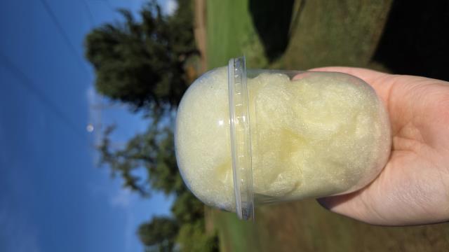 Rental store for Cotton Candy Cups - Lemon in Surrey BC